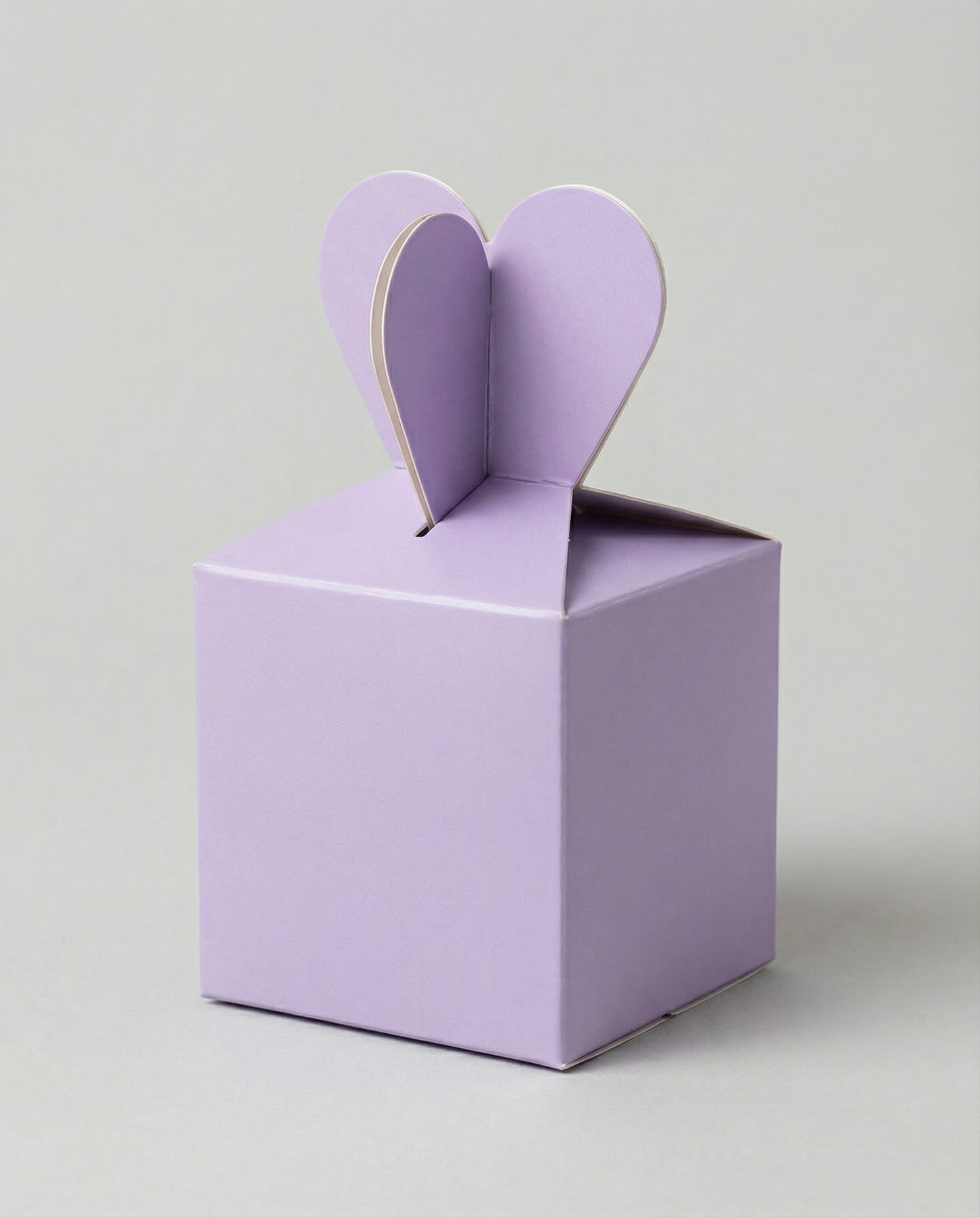 Caja Moñito Est 10 – Paq c/5 Pzas | Variedad de Colores |10 x 10 x 7 cms
