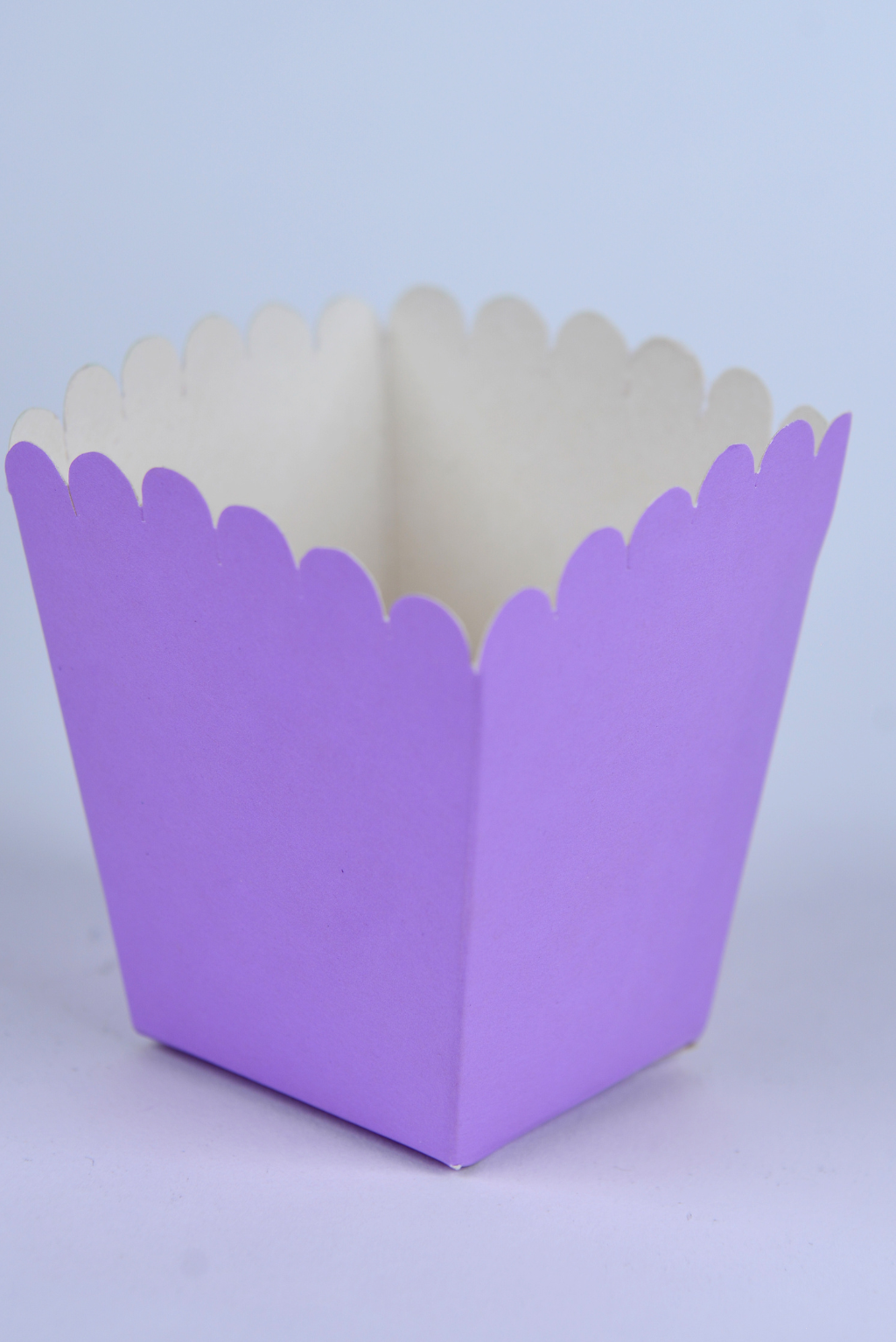 Caja Botanera Mini – Paq c/10 Pzas | Variedad de Colores | MENUDEO