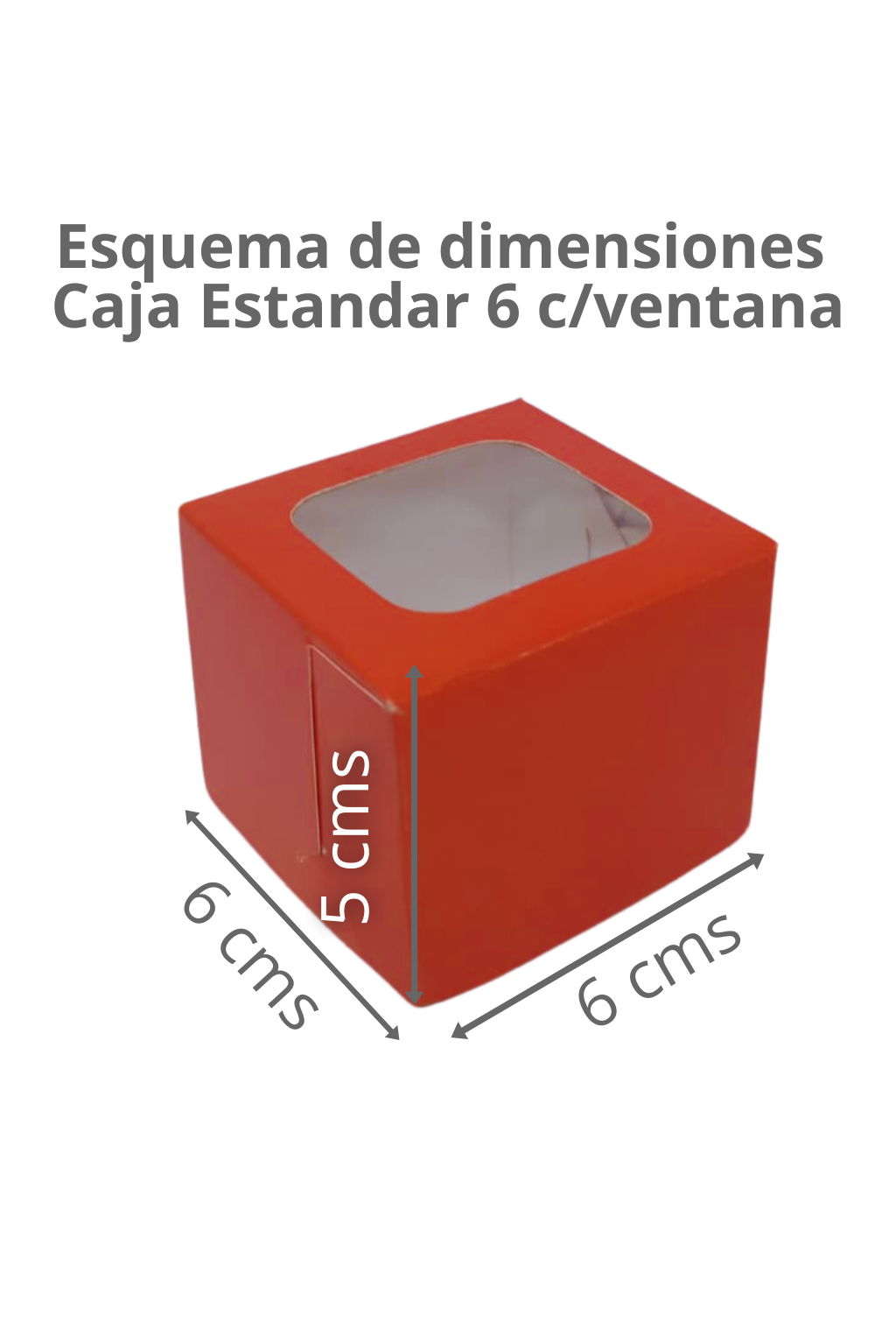 Caja Estandar 6 c/ventana – Paq c/5 Pzas | Variedad de Colores | MAYOREO AVANZADO 35% OFF