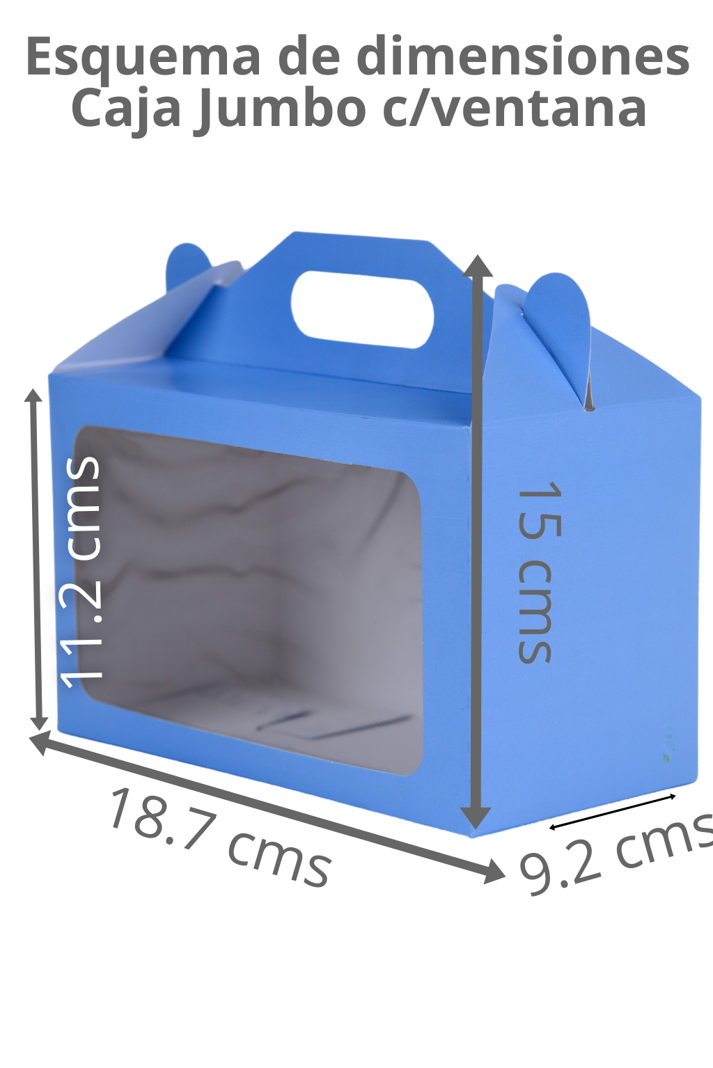 Caja Jumbo c/ventana – Paq c/5 Pzas | Variedad de Colores | MENUDEO