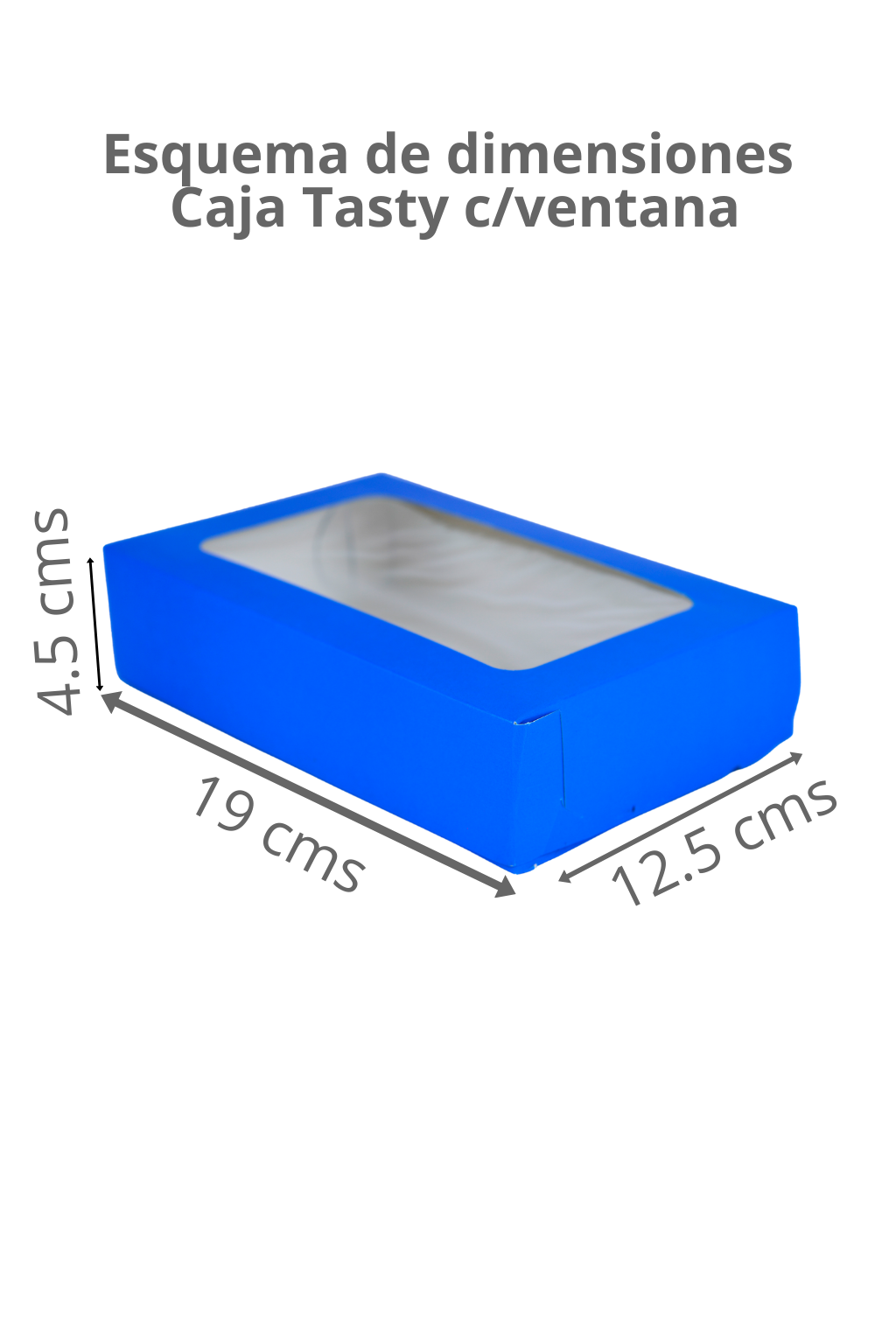 Caja Tasty c/ventana – Paq c/5 Pzas | Variedad de Colores | MENUDEO