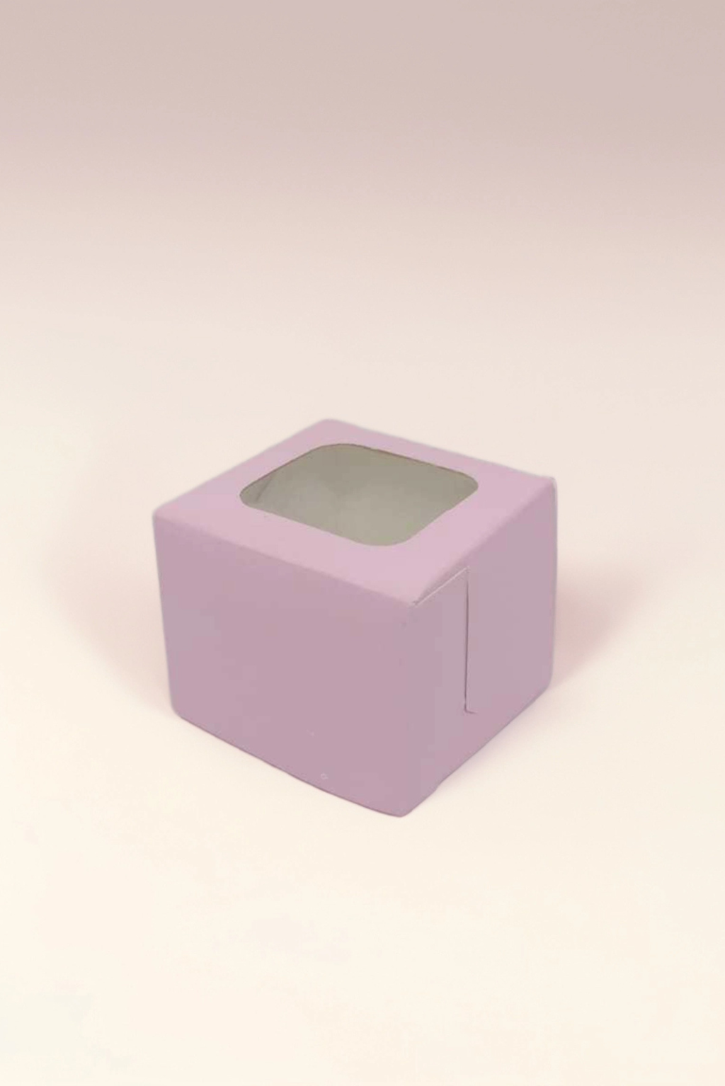 Caja Estandar 6 c/ventana – Paq c/5 Pzas | Variedad de Colores | MAYOREO AVANZADO 35% OFF