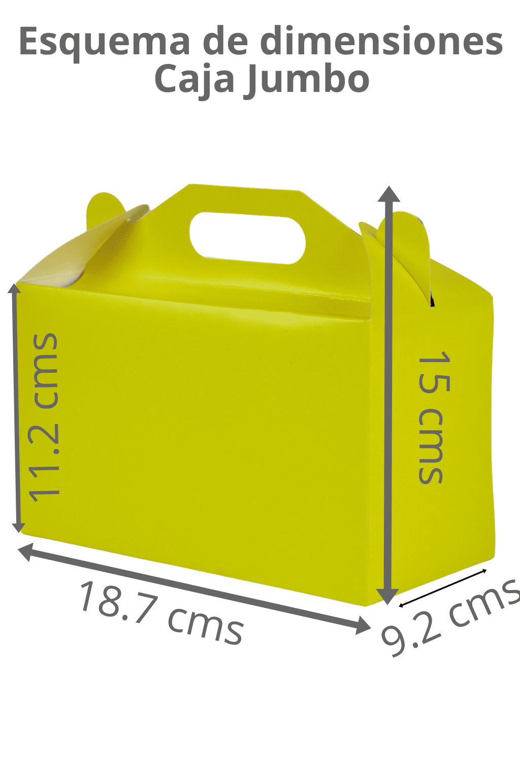 Caja de Dulces Jumbo – Paq c/10 Pzas | Variedad de Colores | MENUDEO