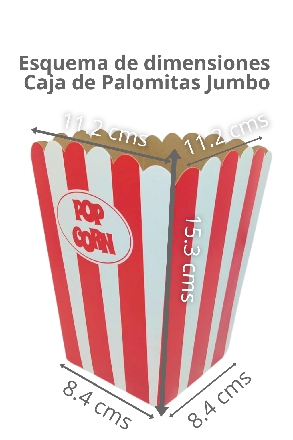 Caja Palomera Jumbo – Paq c/10 Pzas | Variedad de Colores | MENUDEO