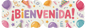 Banner Móvil Jumbo – Diseños para Niña | Fiesta y Cumpleaños | MAYOREO AVANZADO 35% OFF