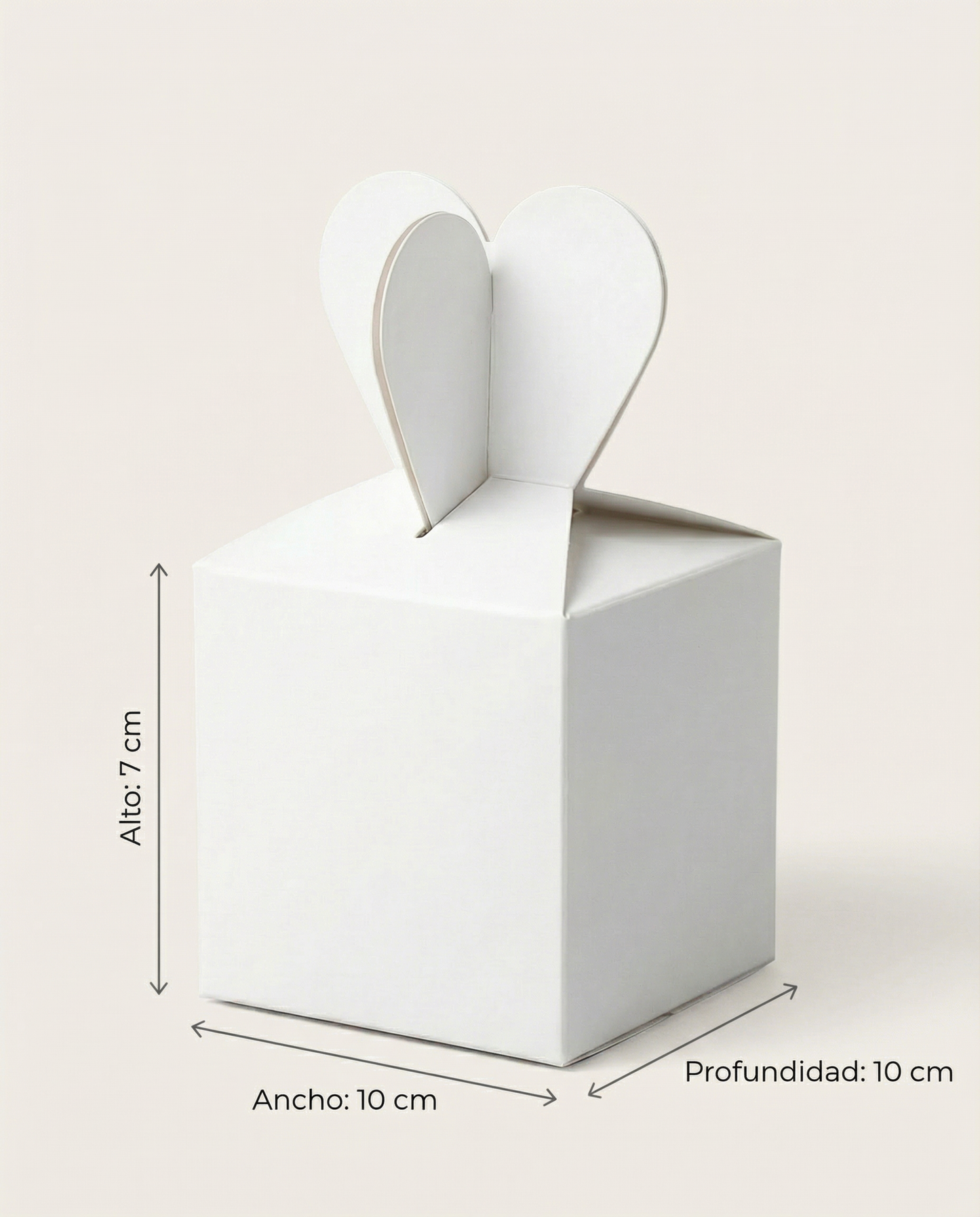 Caja Moñito Est 10 – Paq c/5 Pzas | Variedad de Colores |10 x 10 x 7 cms